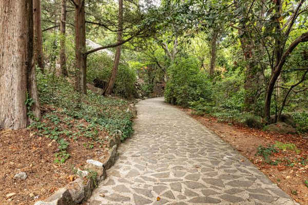 Stone Walkway Repair in Canonsburg